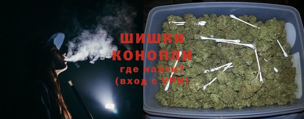 прущий лед Пересвет