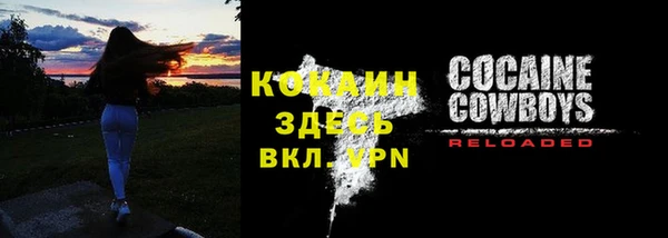 прущий лед Пересвет