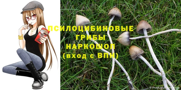 герыч Пестово