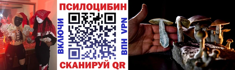 Псилоцибиновые грибы Psilocybe  как найти закладки  Ахтубинск 