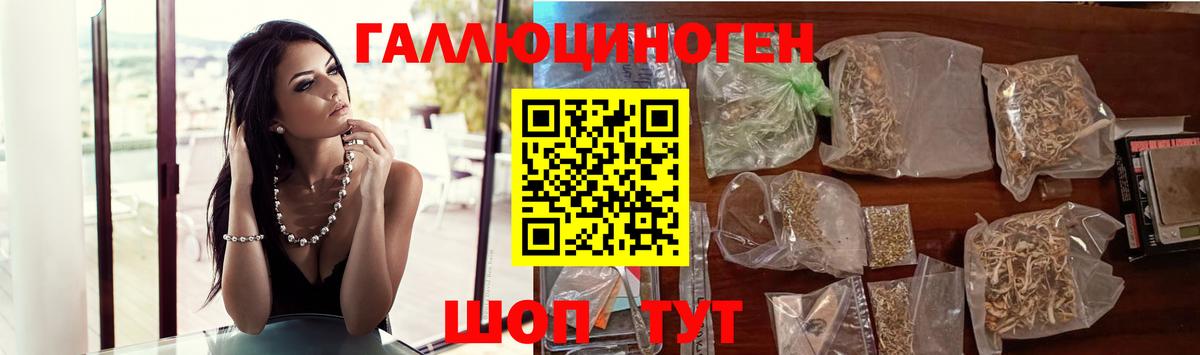 Галлюциногенные грибы Magic Shrooms  Галлюциногенные грибы GOLDEN TEACHER  Ахтубинск 